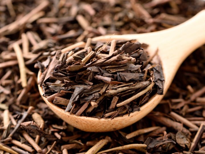 hojicha tea